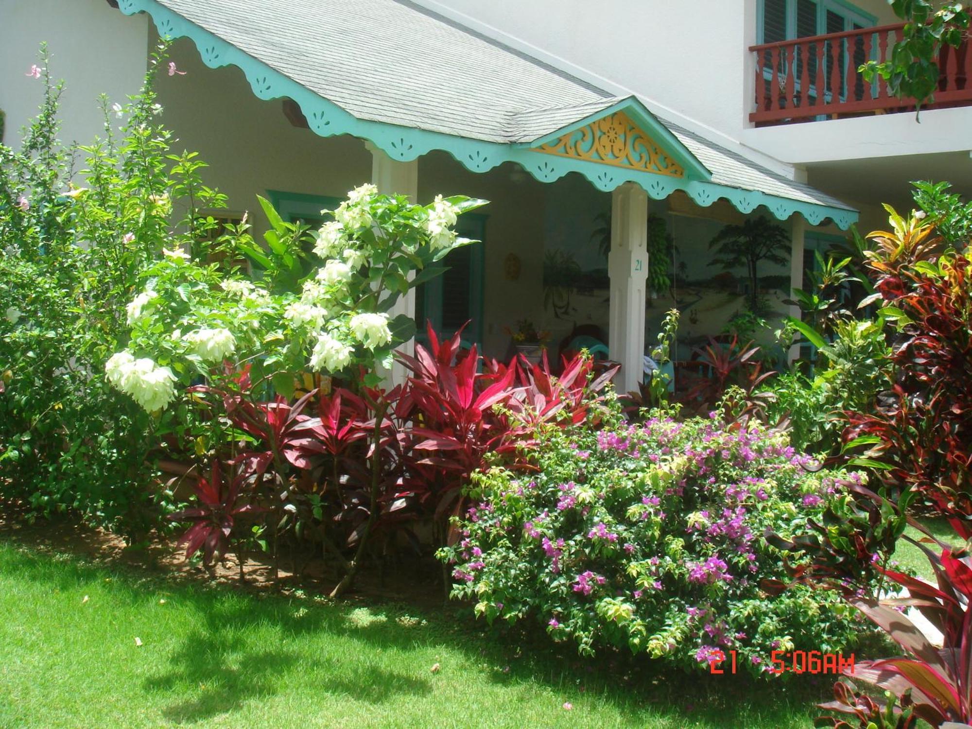 Hotel Playa Colibri Лас Теренас Екстериор снимка